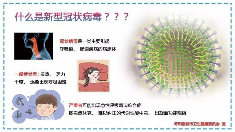 呼市最新病毒，了解、应对与反思