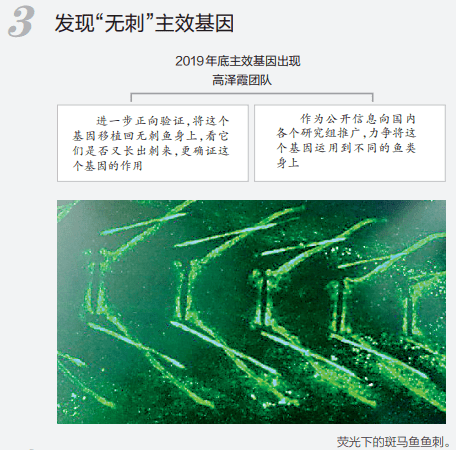 肺炎最新研究，王剑的探索与突破