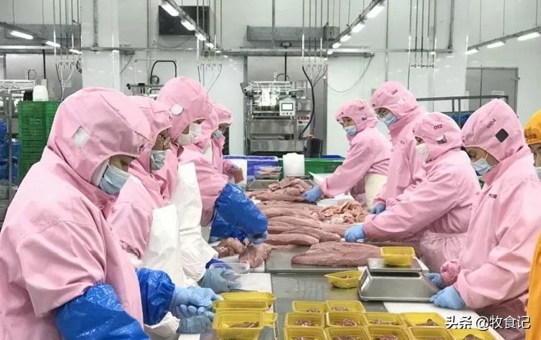 最新猪肉检测疫情，保障食品安全与公众健康的关键环节