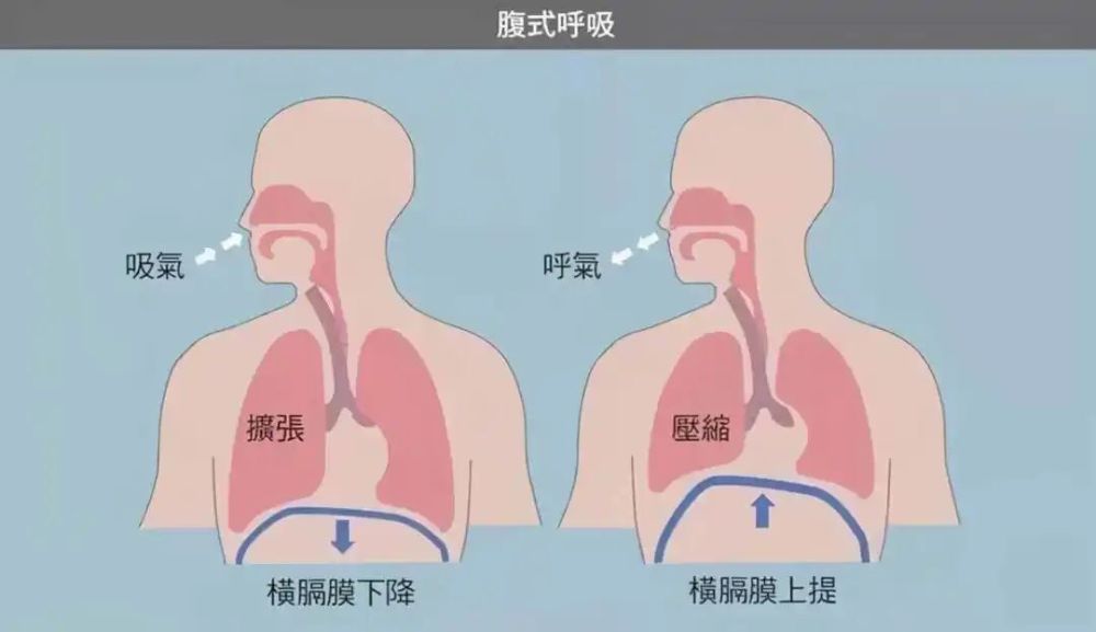 最新正常呼吸，重塑健康生活的关键