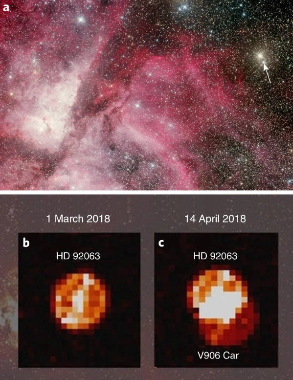 刘至佳最新动态，揭开新星崛起的神秘面纱