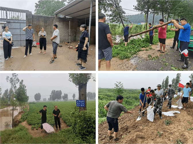 最新防风新规，筑牢安全防线，守护人民生命财产安全