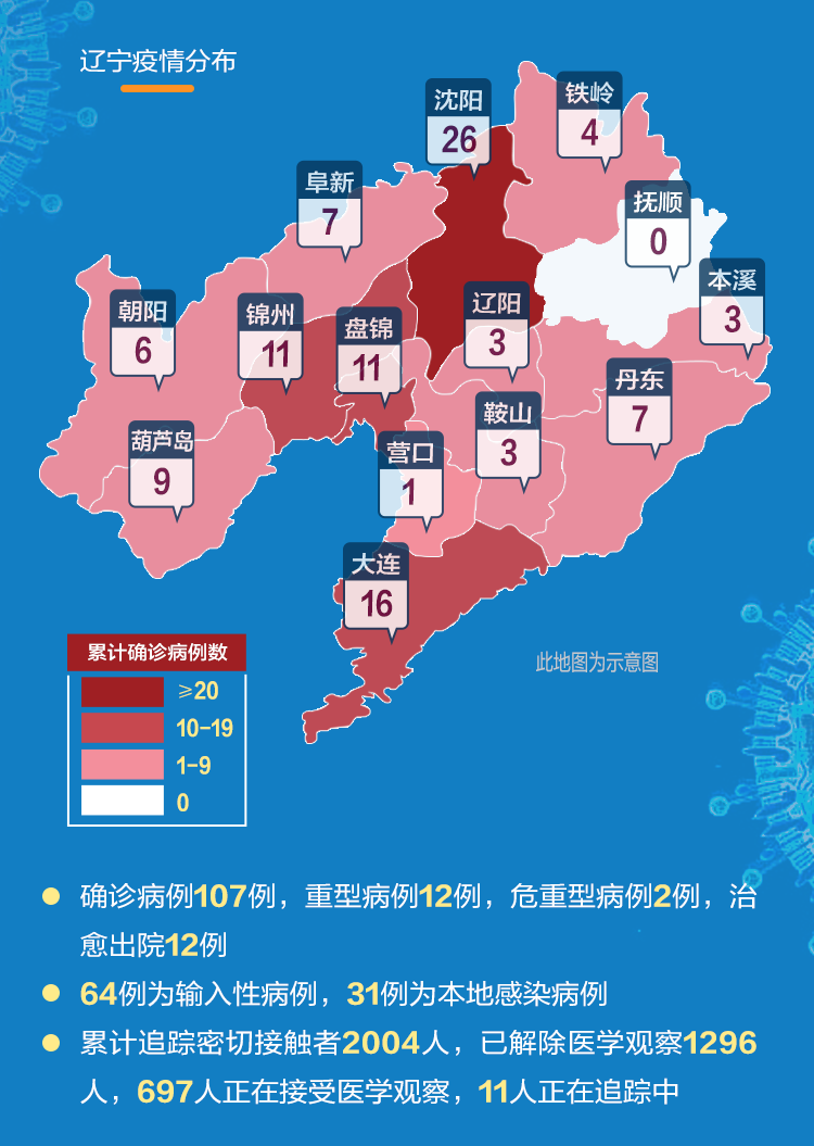 辽宁新冠疫情最新动态分析