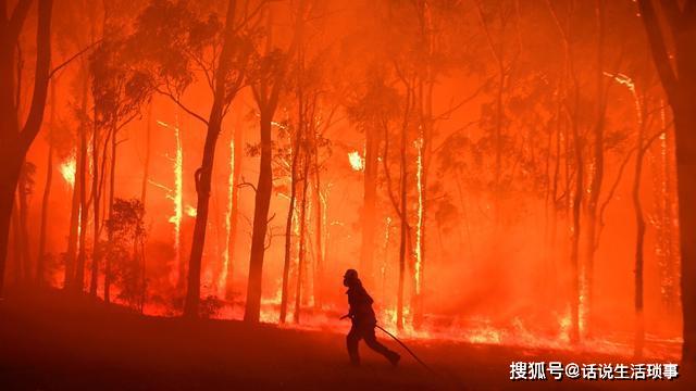 澳洲最新山火，挑战与应对策略