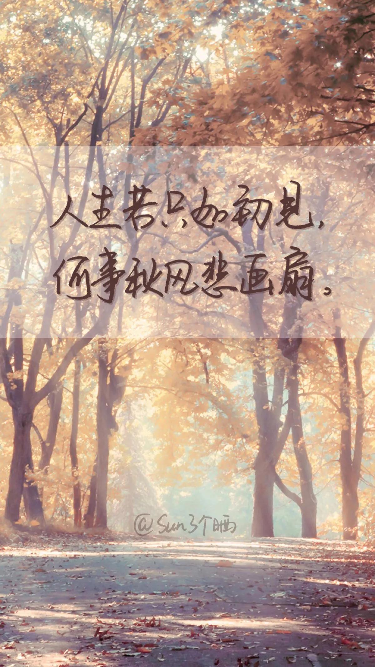 抖音最新壁纸图，探索时尚潮流的视觉盛宴