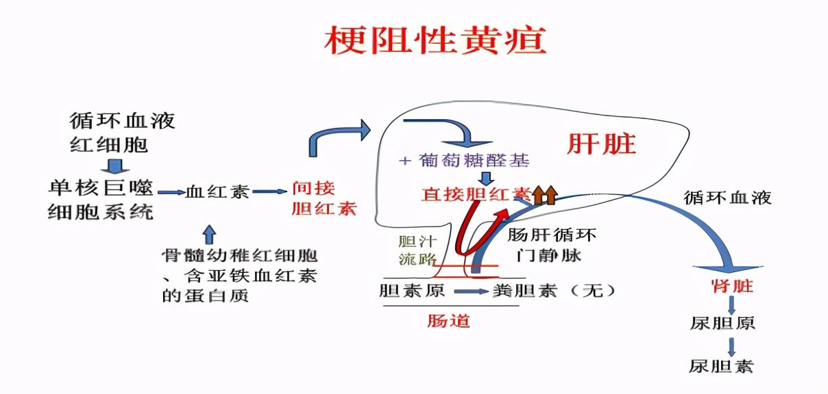 王者荣耀最新皮肤设计，创新与个性的完美结合